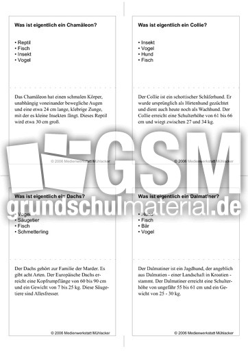 Quiz-Karten-Tiernamen 28.pdf